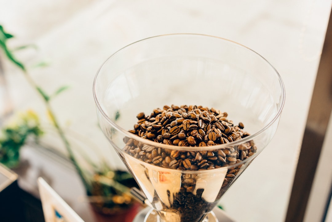 brown-coffee-beans-on-clear-glass-cup-kuuacytdchm